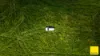 235 Beaumonts Road, Dorrigo NSW 2453-Image