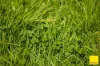 235 Beaumonts Road, Dorrigo NSW 2453-Image
