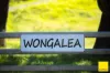 235 Beaumonts Road, Dorrigo NSW 2453-Image