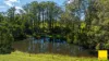 235 Beaumonts Road, Dorrigo NSW 2453-Image