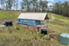 238 Pitkins Road, Nymboida, NSW 2460-Image