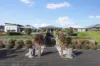 24 Blanche Parade, Hindmarsh Island, SA 5214-Image