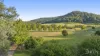 24 Coolawine Road, Wollombi, NSW 2325-Image