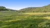 24 Coolawine Road, Wollombi, NSW 2325-Image