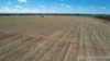 24 Inverai Road, Dalby, Qld 4405-Image