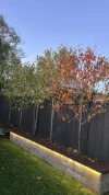 24 Third St, North Lambton, NSW 2299-Image