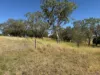 242 Ehrlich Road, Linthorpe QLD 4356-Image