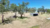 242 Ehrlich Road, Linthorpe QLD 4356-Image