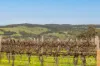 247 Aldinga Road, Whites Valley, SA 5172-Image