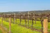247 Aldinga Road, Whites Valley, SA 5172-Image