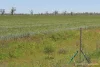 2488 Wilga Downs Road, Cobar, NSW 2835-Image
