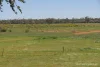 2488 Wilga Downs Road, Cobar, NSW 2835-Image