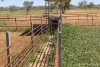 2488 Wilga Downs Road, Cobar, NSW 2835-Image