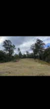 2493 Blacksmith Shop Road, Newton Boyd, NSW 2370-Image