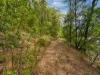 250 Glenworth Valley Road, Glenworth Valley, NSW 2250-Image
