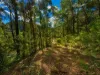 250 Glenworth Valley Road, Glenworth Valley, NSW 2250-Image