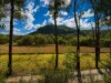 250 Glenworth Valley Road, Glenworth Valley, NSW 2250-Image
