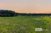 251, Lake Preston Road, Myalup, WA 6220-Image