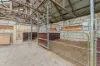 254 Caramut Road, Warrnambool, Vic 3280-Image