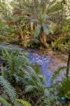 255 Upper Gellibrand Road, Barramunga, Vic 3249-Image
