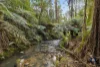 255 Upper Gellibrand Road, Barramunga, Vic 3249-Image