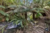 255 Upper Gellibrand Road, Barramunga, Vic 3249-Image
