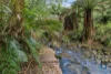 255 Upper Gellibrand Road, Barramunga, Vic 3249-Image