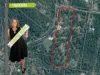 256 - 266 Williamson Road, Tamborine, Qld 4270-Image