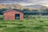 256 Batar Creek Road, Batar Creek, NSW 2439-Image