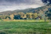 256 Batar Creek Road, Batar Creek, NSW 2439-Image