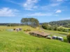 2577-2579 Eastern Dorrigo Way, Brooklana, NSW 2450-Image