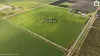 258 Savage Road, Yoogali, NSW 2680