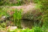 259 James Track, Inman Valley, SA 5211-Image