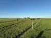 26 Davey Point Road, Montagu, Tas 7330-Image