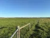 26 Davey Point Road, Montagu, Tas 7330-Image