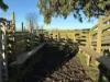 26 Davey Point Road, Montagu, Tas 7330-Image