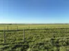 26 Davey Point Road, Montagu, Tas 7330-Image