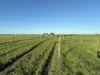 26 Davey Point Road, Montagu, Tas 7330-Image