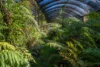 260 Amiets Road, Wyelangta, Vic 3237-Image