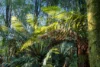 260 Amiets Road, Wyelangta, Vic 3237-Image