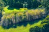 260 Amiets Road, Wyelangta, Vic 3237-Image