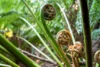 260 Amiets Road, Wyelangta, Vic 3237-Image