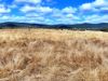 260 Shannen Road, Dalma QLD 4702-Image
