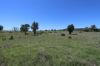 260 Shannen Road, Dalma QLD 4702-Image