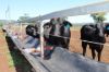 260 Shannen Road, Dalma QLD 4702-Image