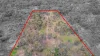 2604 Dunolly-Wedderburn Road, McIntyre, Vic 3472-Image