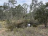 2604 Dunolly-Wedderburn Road, McIntyre, Vic 3472-Image