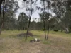 2604 Dunolly-Wedderburn Road, McIntyre, Vic 3472-Image