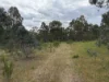 2604 Dunolly-Wedderburn Road, McIntyre, Vic 3472-Image