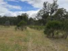 2604 Dunolly-Wedderburn Road, McIntyre, Vic 3472-Image
